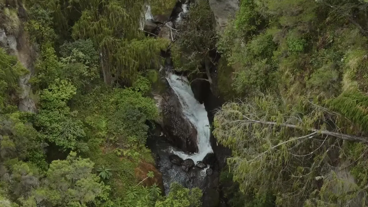 A still from the studio’s film: a forest waterfall seen from above.
