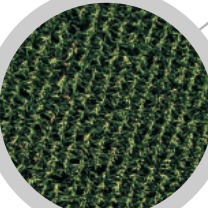 Aerial view of crop rows.