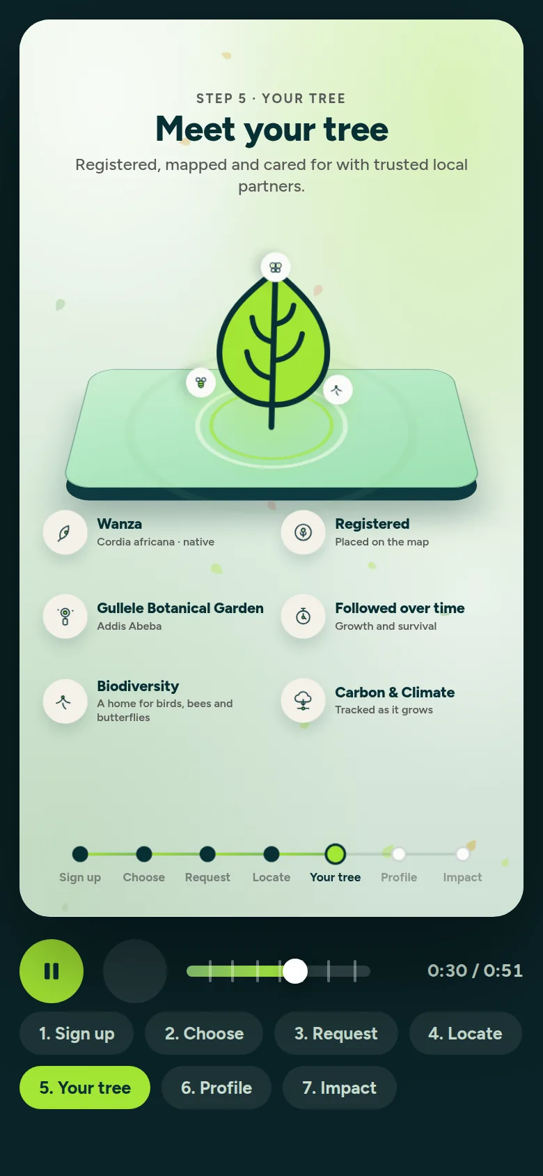 Meet your tree: the tree record with species, place, registration, biodiversity and Carbon & Climate (demonstration data).